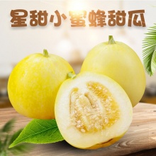 山东星甜小蜜蜂甜瓜：精品哈密甜瓜(3-6月)